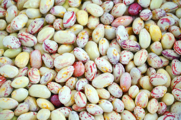 fresh colorful brown bean as food background