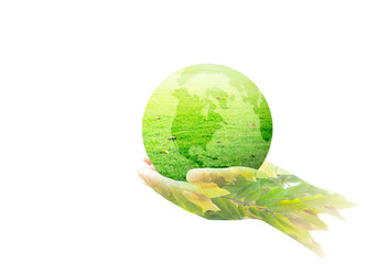 World environment day concept: Earth globe in family hands Isolated on white background. Elements of this image furnished by NASA