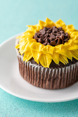 Beautiful sunflower decorated chocolate cupcake on aqua pastel background