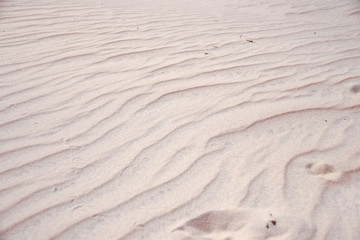 Fototapeta na wymiar Elegant patterns in the desert sand made by the wind