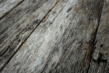 wood surface / texture background