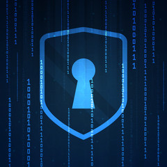 Online data protection shield