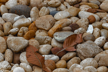 Stones and pebbles on the floor