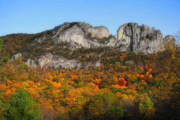 Seneca rocks peak with colorful autumn time.