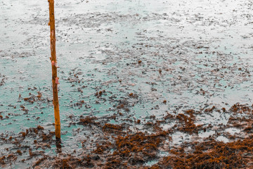 Rain in the reflecting pond of the blue sky