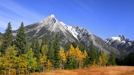 Scenic autumn landscape in Banff national park