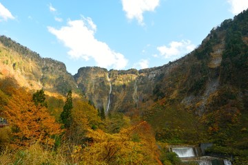 秋の称名滝