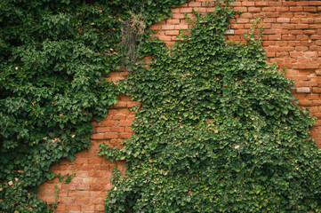 First stop on a roadtrip to Croatia, Mikulov, southern mood of the city in hot weather