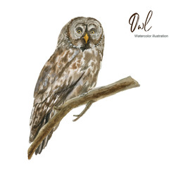 Isolated Watercolor illustration with an owl and a branch. A set of elements. Suitable for creating cards, invitations, holidays, etc.
