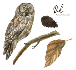 Isolated Watercolor illustration with an owl and a branch. A set of elements. Suitable for creating cards, invitations, holidays, etc.