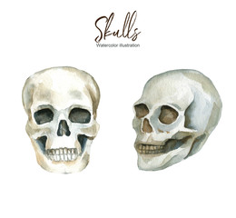 Isolated Watercolor illustration with a human skull on a white background. A set of elements.