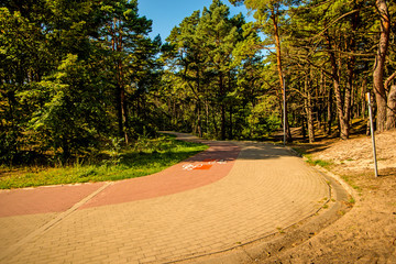 forest at the Baltic coast in Poland with way for bicycles and pedestrians