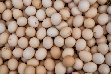 Organic eggs for sale in the market