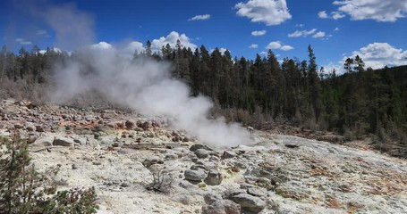 Yellowstone National Park geyser basin steam. Geothermal ecosystem environment. Largest super volcano on the continent. Biology geography and ecology. Millions of tourist.