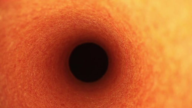 slowly pulling out of an orange paint roller cover (tube), middle focus on the edges. using a wide angle probe lens, getting unique perspectives.