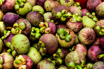 Lots of mangosteen fruit, mangosteen background, mangosteen fruit