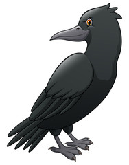 Obraz premium Cartoon crow isolated on white background
