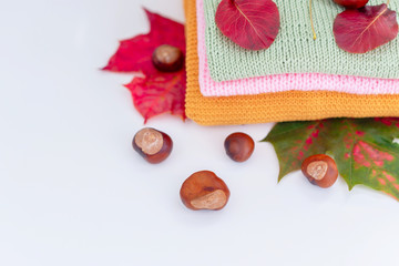 cosy autumn - knitted sweaters, chestnuts and autumn leaves on white background