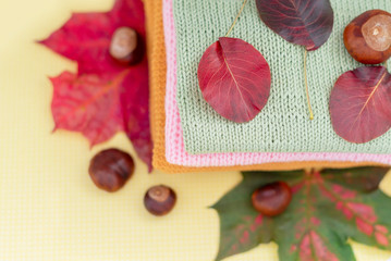 cosy autumn - knitted sweaters, chestnuts and autumn leaves on yellow background 