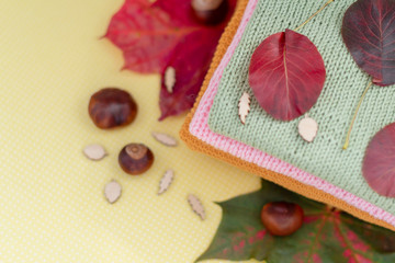 cosy autumn - knitted sweaters, chestnuts and autumn leaves on yellow background 