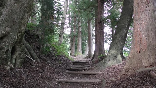 奈良井宿 旧中山道の杉並木