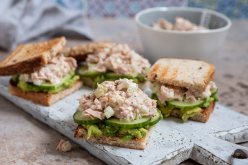 Healthy Tuna Sandwich with Avocado and Cucumber