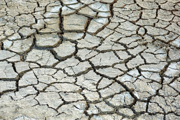 The texture of cracked earth due to lack of rain