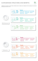 Cannabinoid Structures and Benefits vertical business infographic illustration about cannabis as herbal alternative medicine and chemical therapy, healthcare and medical science vector.