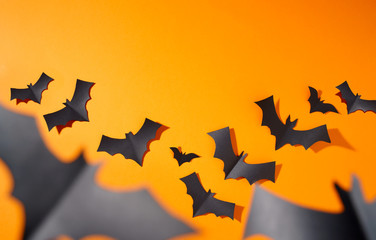 Halloween photo of black bats flying to sides on blank orange background.