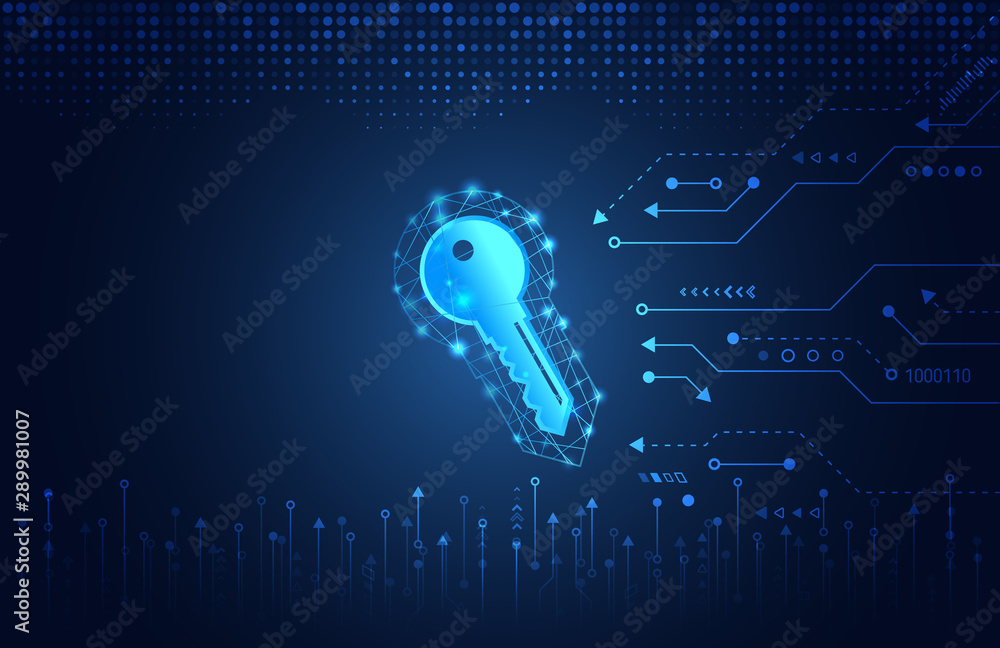 Poster data protection privacy concept. key icon and internet technology networking connection. cyber secur
