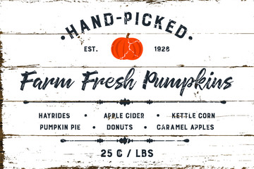 Farm Fresh Pumpkin Patch with Shiplap Design