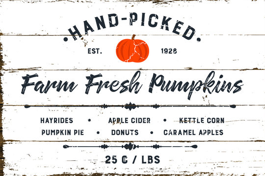Farm Fresh Pumpkin Patch with Shiplap Design