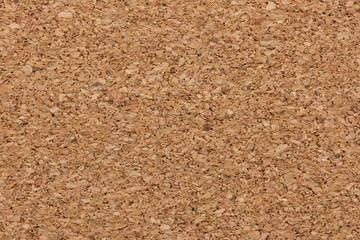 corkwood background texture. macro shot