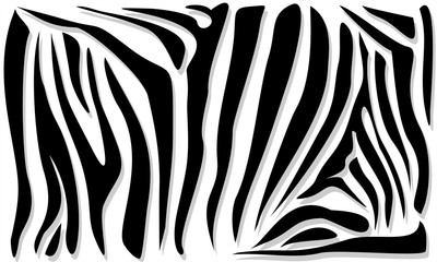 Abstract Zebra Pattern. Ornamental Geometric Pattern. Black and White Animal Skin Pattern, Background. Trendy Vector Wallpaper.
