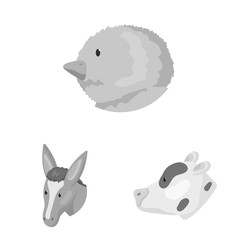 Isolated object of countryside and homestead icon. Collection of countryside and breeding stock symbol for web.