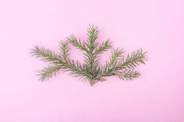 New Year, Christmas minimalistic concept: coniferous branches on a pastel pink background. Place for text, flat lay.