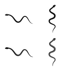 Isolated object of mammal and danger sign. Set of mammal and medicine vector icon for stock.