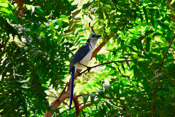 Nicaragua 