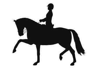 Equestrian sport, dressage, silhouette of a rider and horse