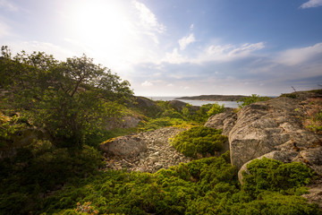 Fototapeta na wymiar Rocky seashore. Summer landscape of a rocky island in the Baltic Sea, Finland.