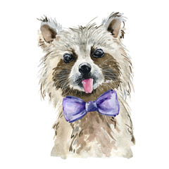 Watercolor cute raccoon.
