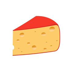 Piece of cheese on a white background. Vector illustration
