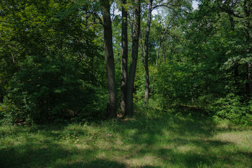 Naklejka premium Лето