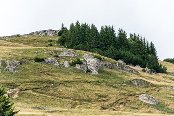 View from Bucegi mountains, Romania, Bucegi National Park