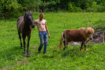 male shepherd leads a horse and pony in meadow