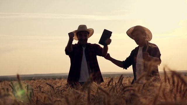 eam work. Two farmers stand at sunset in a wheat field, and discuss the new crop.. Farmers use new technologies in agriculture. Growing organic products.