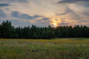 Obraz premium Лето