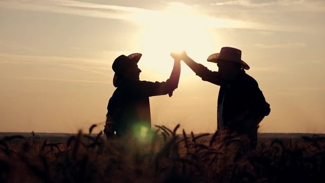eam work. Two farmers stand at sunset in a wheat field, and discuss the new crop.. Farmers use new technologies in agriculture. Growing organic products.