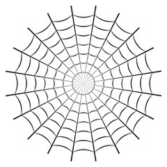 Spider web or cobweb. Halloween net background. Vector illustration. © metelsky25