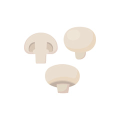 mushroom champignon isolated on white background. Vector illustration.